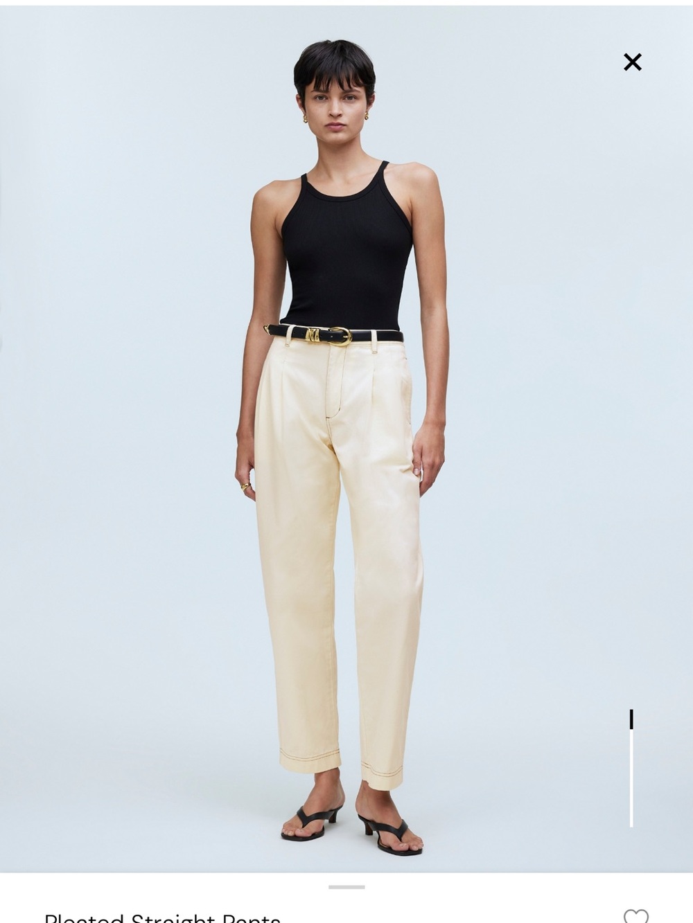 BNWT Madewell Pleated Straight Pant